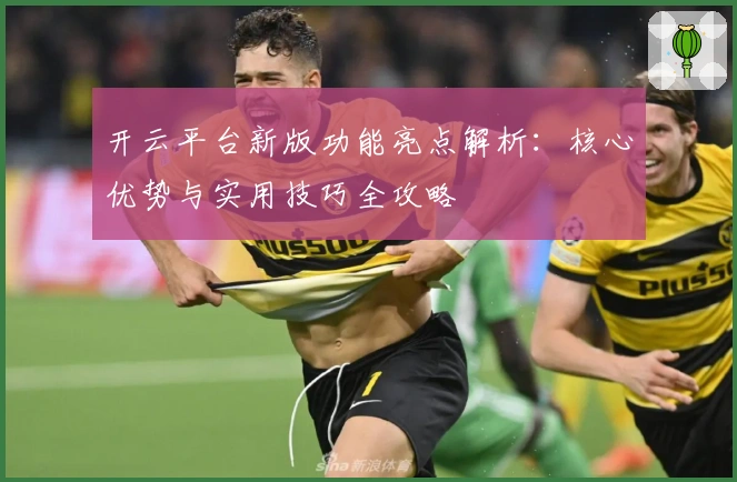 开云平台新版功能亮点解析：核心优势与实用技巧全攻略